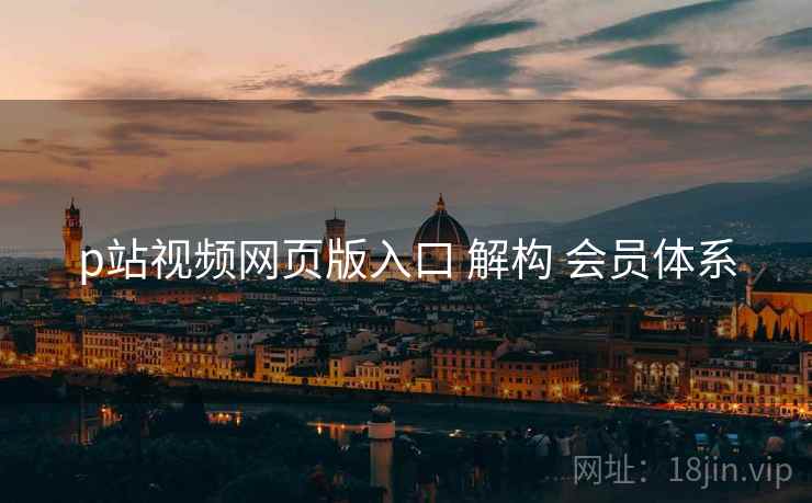 p站视频网页版入口 解构 会员体系