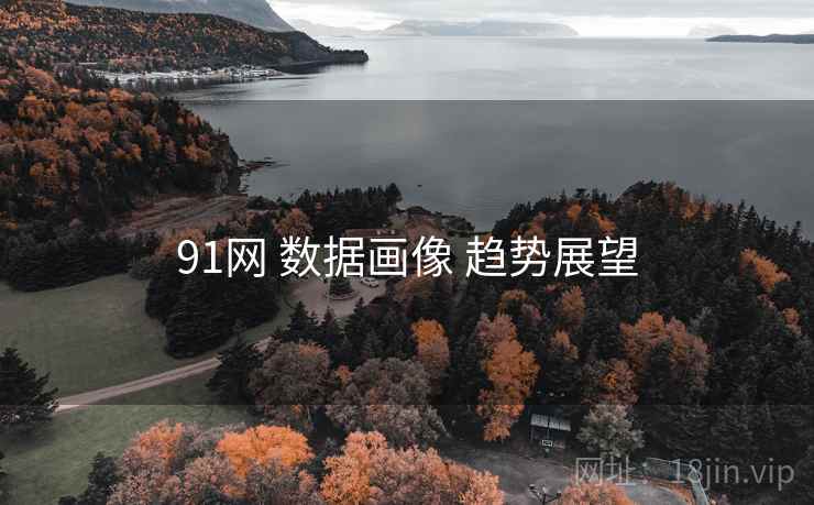 91网 数据画像 趋势展望