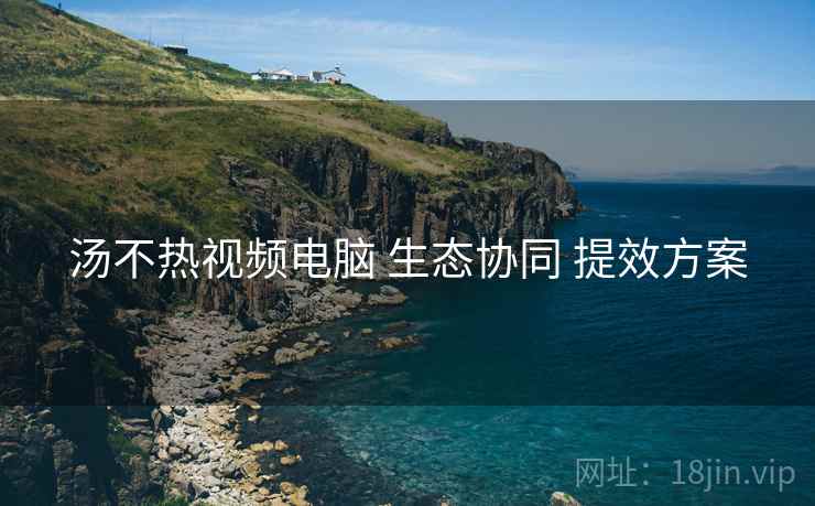 汤不热视频电脑 生态协同 提效方案
