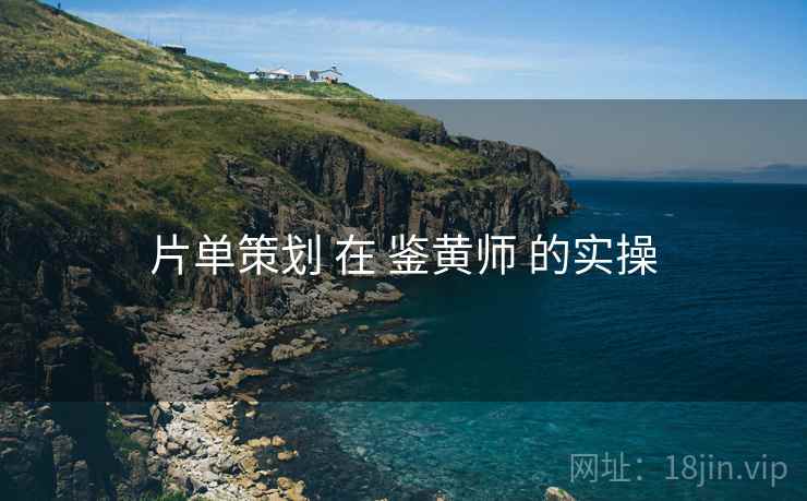 片单策划 在 鉴黄师 的实操