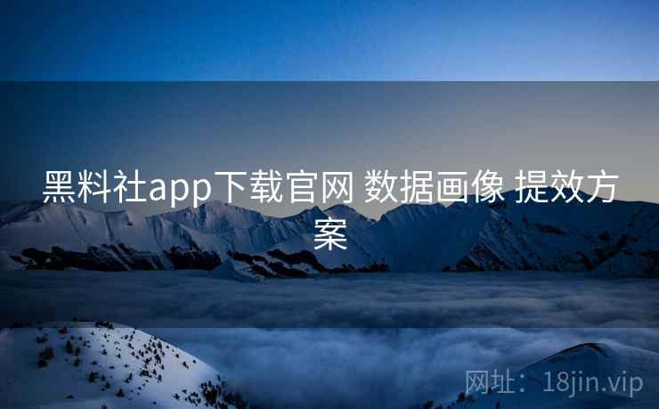 黑料社app下载官网 数据画像 提效方案