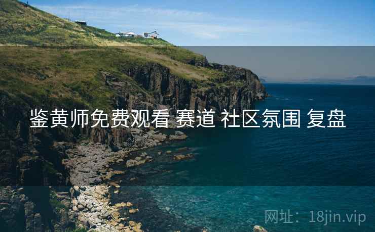 鉴黄师免费观看 赛道 社区氛围 复盘