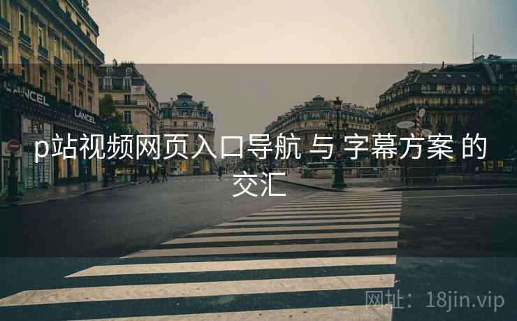 p站视频网页入口导航 与 字幕方案 的交汇