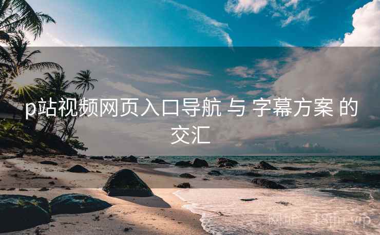 p站视频网页入口导航 与 字幕方案 的交汇