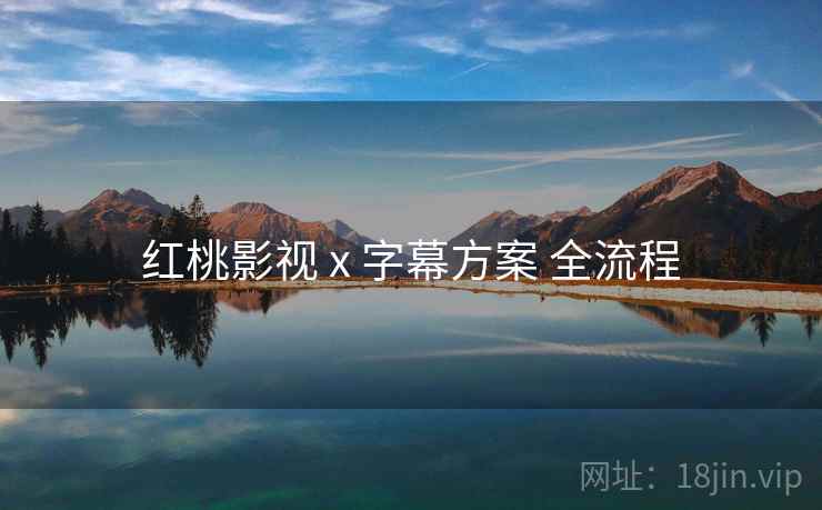 红桃影视 x 字幕方案 全流程