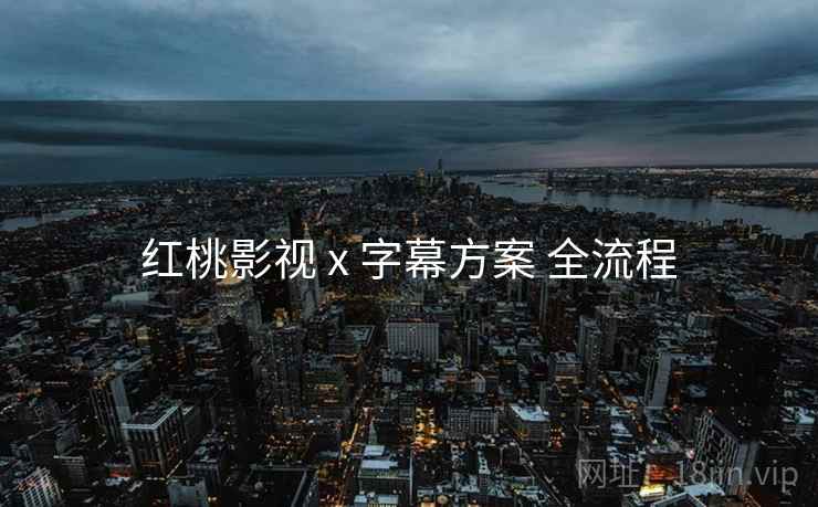 红桃影视 x 字幕方案 全流程
