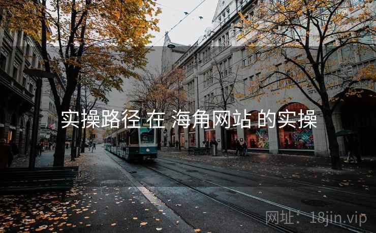 实操路径 在 海角网站 的实操
