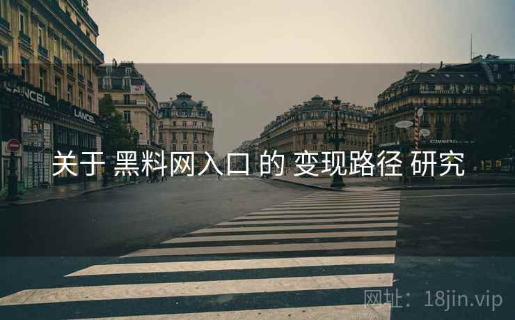 关于 黑料网入口 的 变现路径 研究