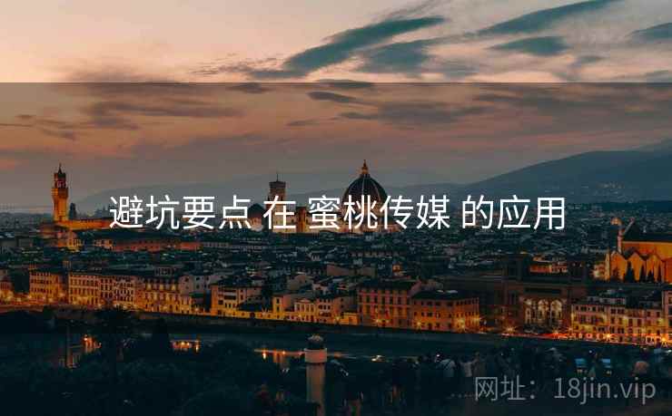 避坑要点 在 蜜桃传媒 的应用