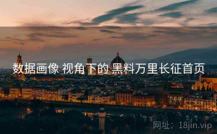 数据画像 视角下的 黑料万里长征首页