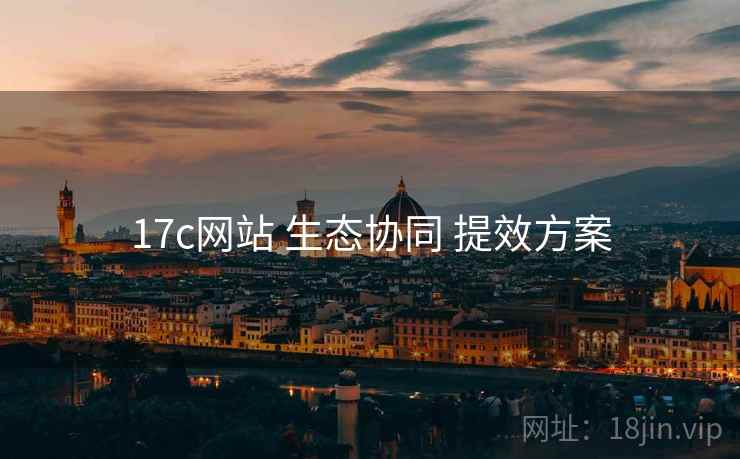 17c网站 生态协同 提效方案