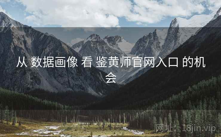 从 数据画像 看 鉴黄师官网入口 的机会