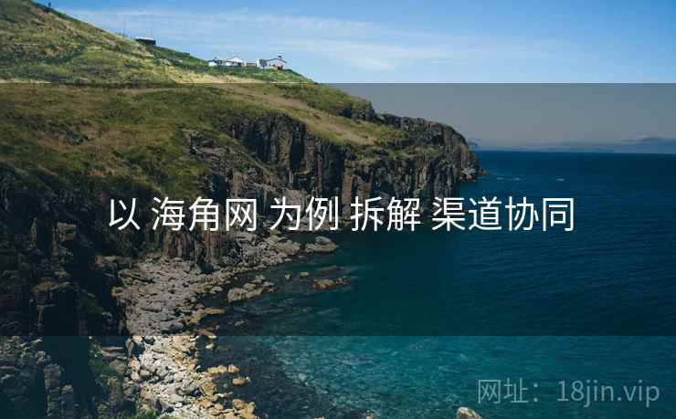 以 海角网 为例 拆解 渠道协同