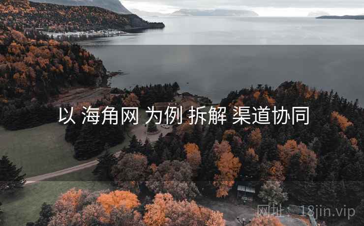 以 海角网 为例 拆解 渠道协同