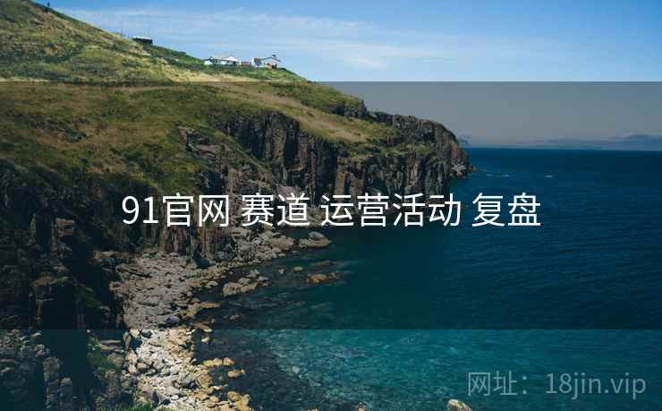 91官网 赛道 运营活动 复盘