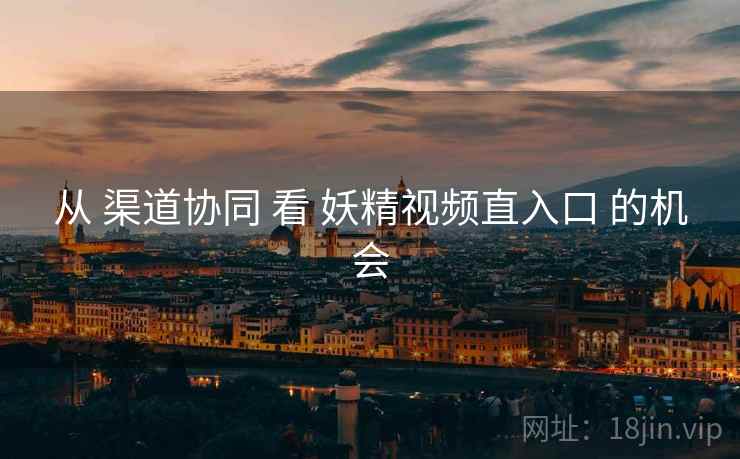 从 渠道协同 看 妖精视频直入口 的机会