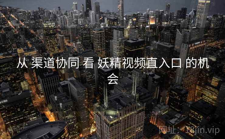 从 渠道协同 看 妖精视频直入口 的机会